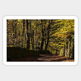 Lane at Lumsdale Falls Sticker